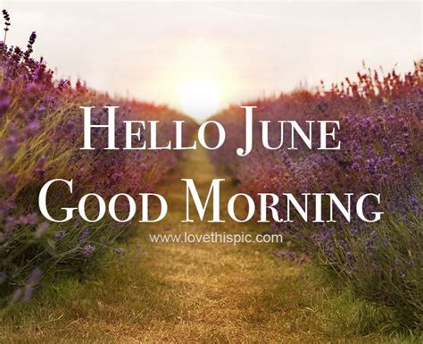 This collection of inspirational good morning quotes is full of motivational sayings which will help you feel powerful, calm and ready to take action early in the morning. Hello June Good Morning Quote Pictures, Photos, and Images ...