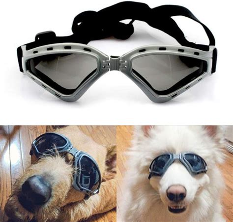 Namsan Dog V Type Sunglasses Uv Protection Fashion Eyewear
