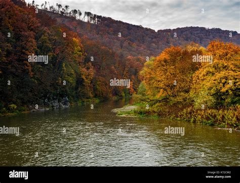 Forest River In Autumn Mountains Lovely Grassy Shores With Yellowed
