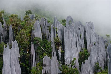 Pinnacle Details Limestone Pinnacles Rise From The Jungles Flickr