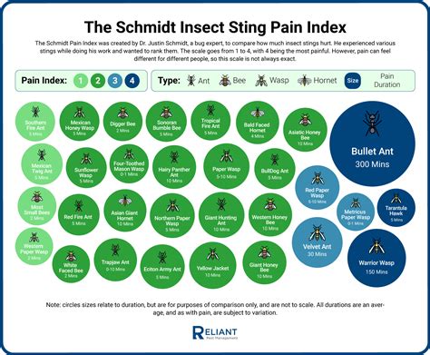 The Schmidt Insect Sting Pain Index: North America - Reliant Pest
