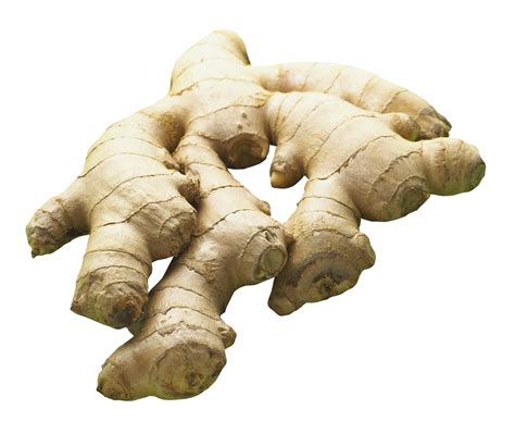 Ginger Png Transparent Image Download Size 1513x1276px