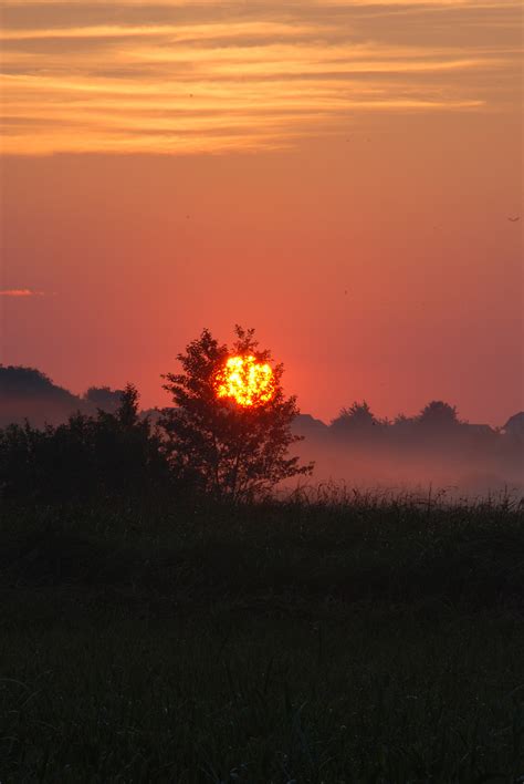 Free Photo Sunrise The Fog Landscape Morning Hippopx