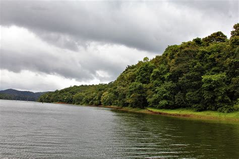 Periyar National Park Thekkady Kerala Tripathome Gtm Travel And