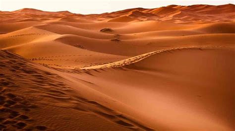 Los 8 Tipos De Desiertos Y Sus Características