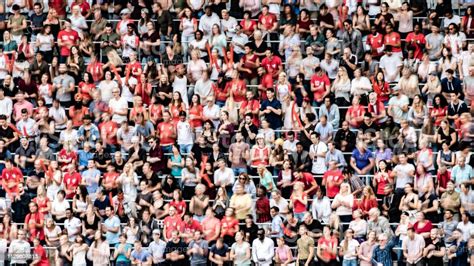 경기장에서 응원 하는 관중의 그룹 30 39세에 대한 스톡 사진 및 기타 이미지 30 39세 격려 경기 스포츠 Istock