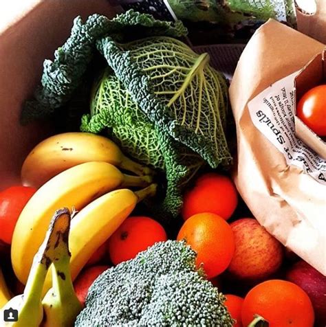 Your summer list is incomplete with summer season fruits, summer has come and it's time to makes changes to your diet. Cooking with Summer Seasonal Fruits and Vegetables | Fruit ...