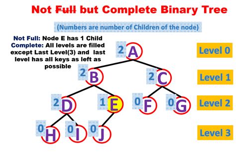 எல்லாம் அவர் செயல் What Is Binary Tree
