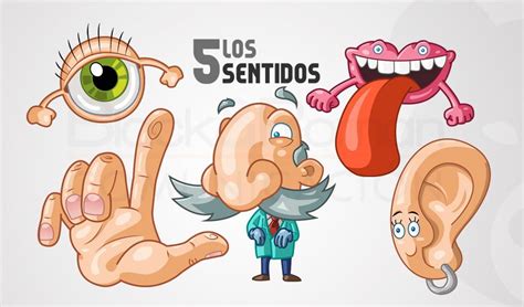 Conocer correctamente cuales son los 5 sentidos y para que nos sirven, nos permitirán relacionarnos con nuestro entorno de forma amena y correcta. Los cinco sentidos del ser humano - Descubre cuáles son