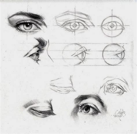 Eyes Black Sketches White Background How To Draw A Girl Step By Step