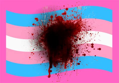 lanzan reporte de la violencia contra personas trans y sexualmente diversas en latinoamérica