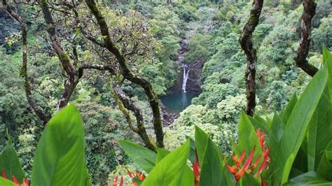 The garden of eden was a place prepared by god for mankind in its first man, adam , during the creation week. Have $20M? You Can Buy the Garden of Eden … in Hawaii ...
