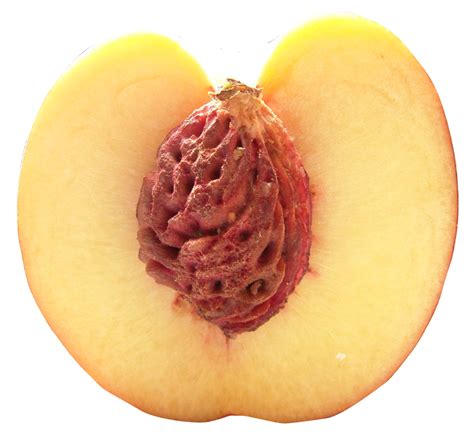 Download Half Peach Png Image For Free