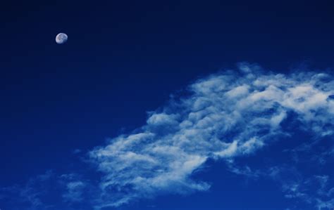 Darmowe Zdjęcia Natura Horyzont Chmura Niebo światło Słoneczne