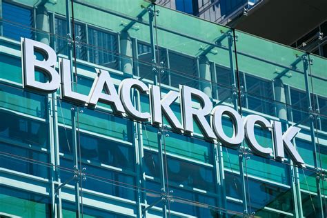 ‘it Is Just The Beginning Blackrock Bullish On European Etf Market Growth