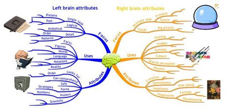 Mind Map Detailing The Left Brain And Right Brain Dominant Traits