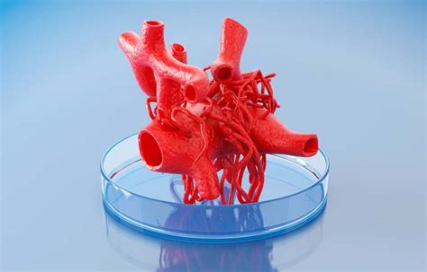 3d Printing Organs How Soon Are Bioprinting 3d Printed Organs Coming