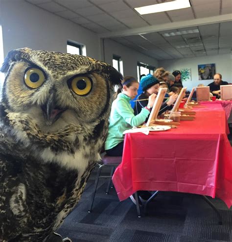 More Fun For The Kids At The Buttonwood Park Zoo