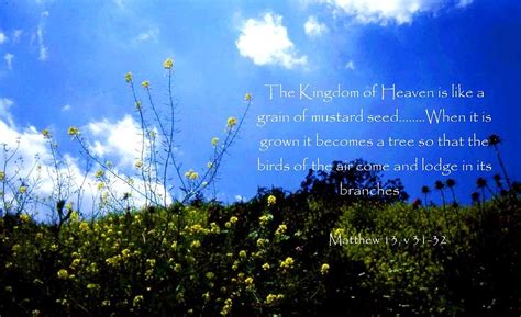 The Mustard Seed And The Kingdom Of Heaven Photograph By Nigel