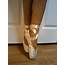 First Pointe Shoes Sept 2011  Ballet