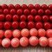 Inch White Coral Red Coral Smooth Polished Genuine Coral Etsy