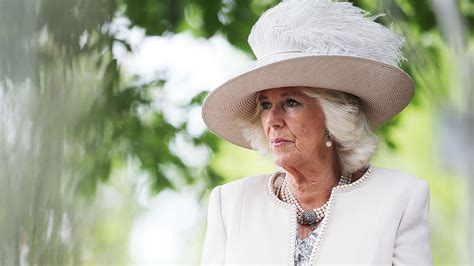 duchess of cornwall reveals what she has found deeply troubling during