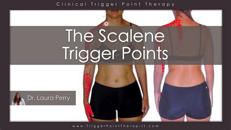 the scalene trigger points youtube