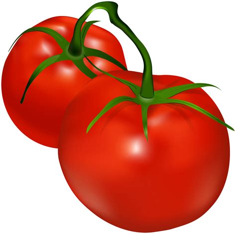 Tomatoes Clipart Tomatoes Transparent Free For Download On