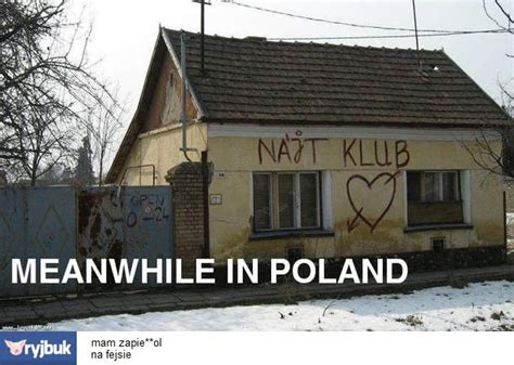 The 50 Funniest Meanwhile In Poland Memes