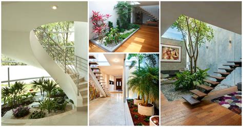 10 Dreamy Interior Gardens To Green Your Home Top Dreamer