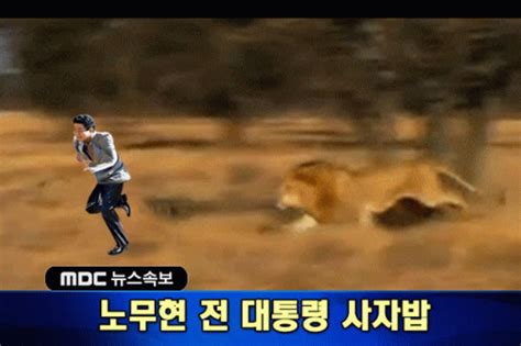 This is the total number of frames your final gif will have. 노무현 Lion GIF - 노무현 Lion Run - Discover & Share GIFs