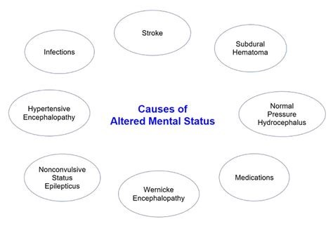 Common Causes Of Altered Mental Status In The Elderly
