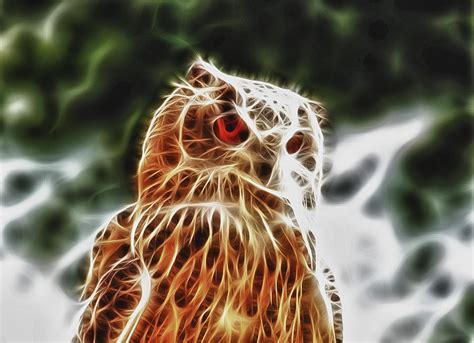 Fire Owl Digital Art By Tilly Williams