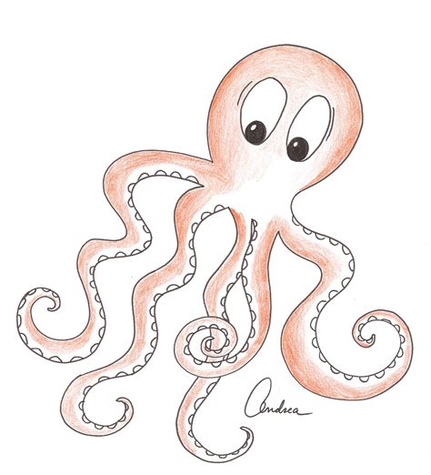 Doodle Drawings Octopus Daily Doodle Octopus Drawing Doodle