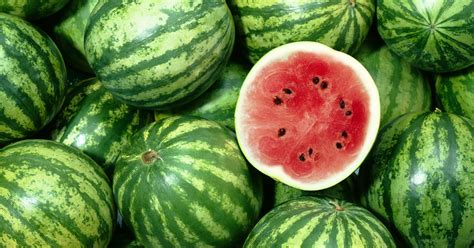 Want to learn more about gardening? Growing Watermelons in Western Australia