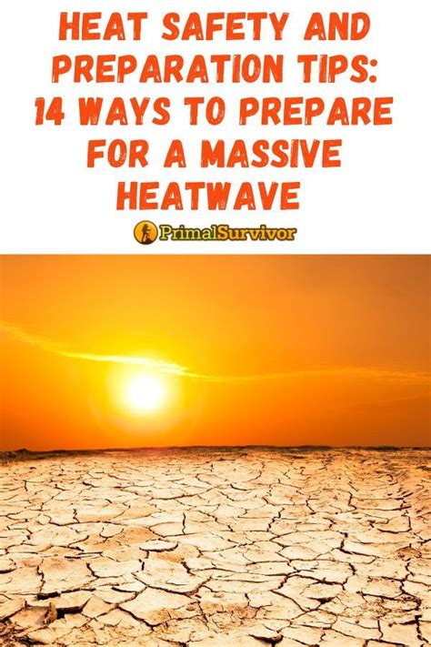 How To Prepare For A Heatwave Tips And Tricks To Survive Heat Safety