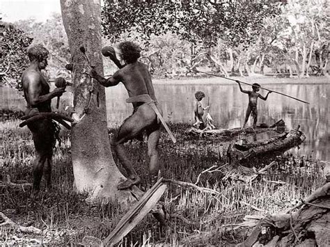 Blueswami Old Photos Of Australian Aborigines Old Photos Of