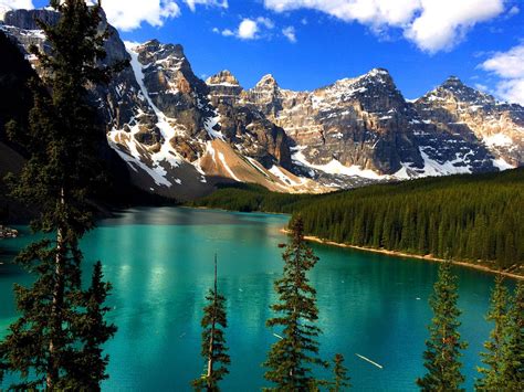 5 day thrilling canadian rockies tour from calgary tours4fun
