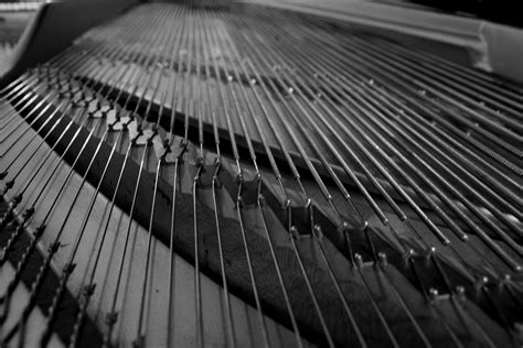 Learn the best way to prepare a baby grand piano for moving, and then how most grand pianos are 4 1/2′ to 6'4 long so they weigh in between 500 and 800 lbs. Piano Strings | Deography by Dylan O'Donnell