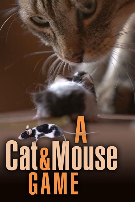 A Cat And Mouse Game Posters The Movie Database Tmdb