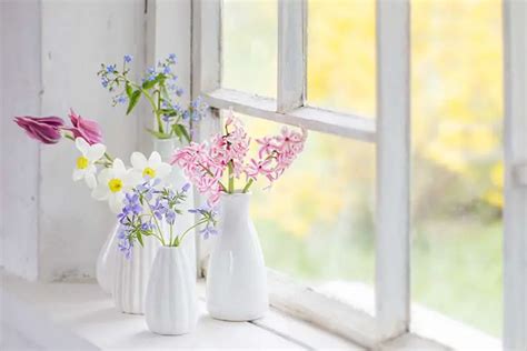 24 Beautiful Indoor Windowsill Flower Garden Ideas Decor Home Ideas