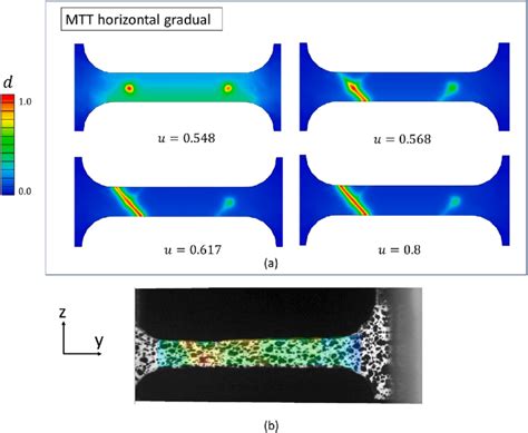 A Phase Field Crack Contour Plots At Different Load Sequences For Mtt