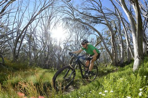 All Terrain Cycle Tours Mansfield Mt Buller