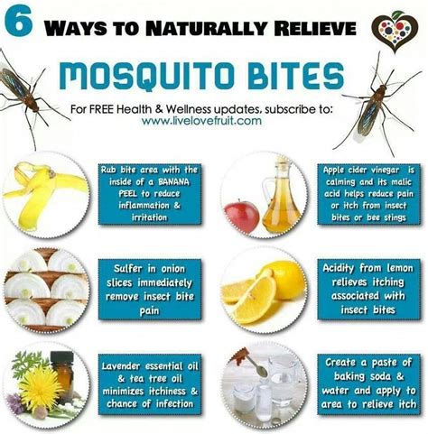 Using commercial level insecticides and pesticides can have a great effect on the pests and insects but it is also extremely dangerous for humans. Organic Garden Guide to Controlling Pests for Your ...