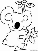 Koala Coloring Pages Baby Tree sketch template