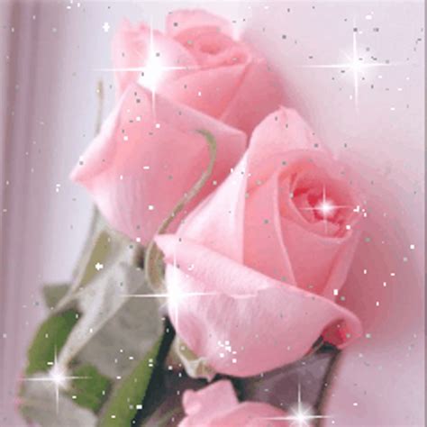 Beautiful Roses Live Wallpaper Flowersappstore For Android