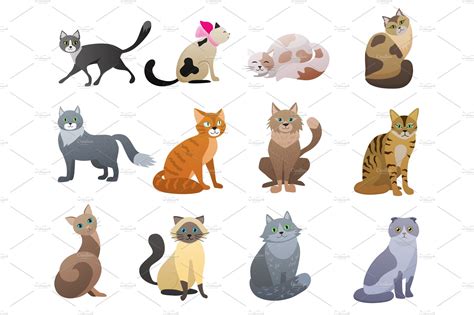 Funny And Cute Cartoon Cats Set Vector Graphics Creative Market