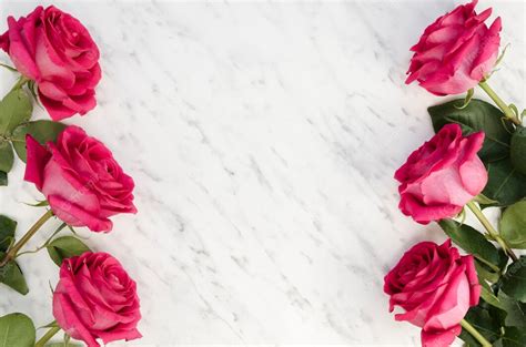 Free Photo Beautiful Pink Roses On Marble Background
