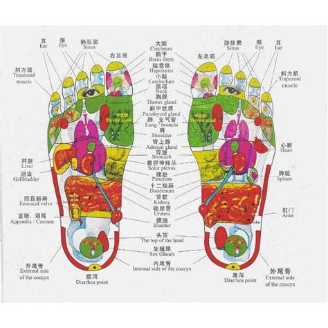 We're stretching that entire meridian band, says lee. Body Meridian System ⋆ 3Bees Online Asia
