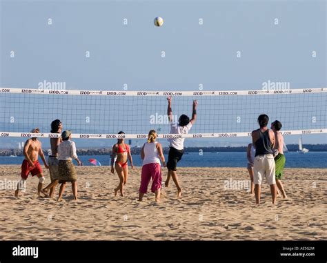 Friends Playing Game Of Beach Volleyball With Ball Being Set Over Net